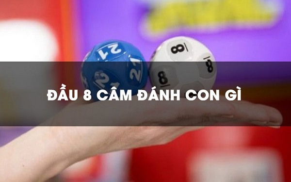 Cam dau 8 danh con gi ngày hôm sau dễ trúng nhất?
