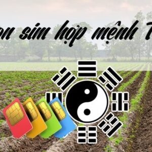 Số hợp mệnh thổ là số mấy? Chọn sim điện thoại cùng Gi8