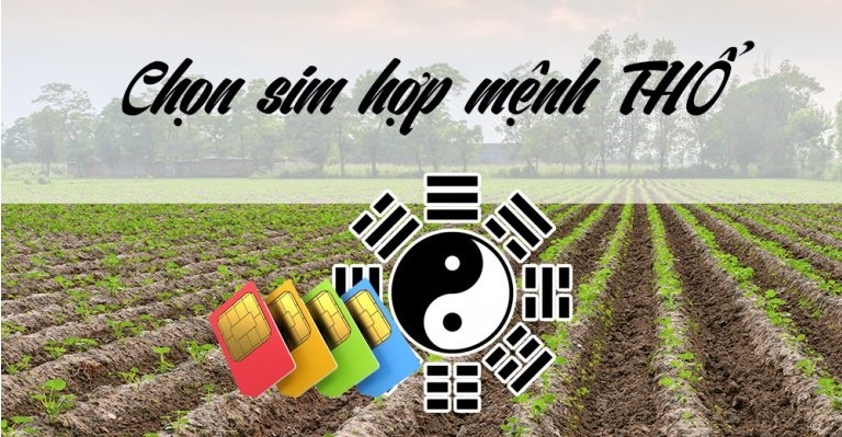 Số hợp mệnh thổ là số mấy? Chọn sim điện thoại cùng Gi8