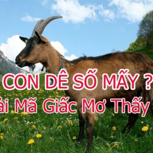 So con de là số mấy trong lô đề? Cùng Gi8 giải mã giấc mơ