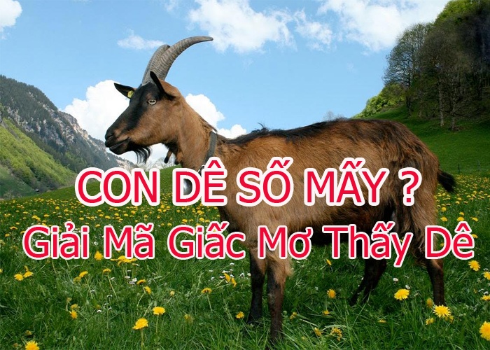 So con de là số mấy trong lô đề? Cùng Gi8 giải mã giấc mơ