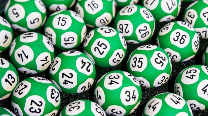 Lo kep 2 ngay: Hướng dẫn nuôi lô khung hiệu quả nhất