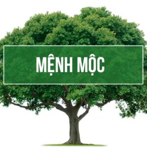 Mệnh mộc hợp số mấy? Gi8 chỉ cách chọn sim phong thủy