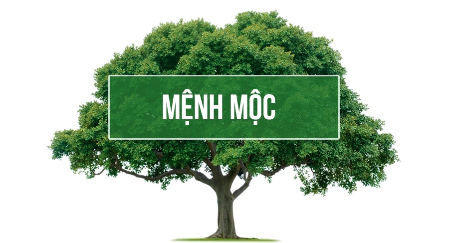 Mệnh mộc hợp số mấy? Gi8 chỉ cách chọn sim phong thủy