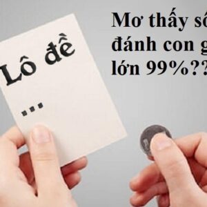 Mơ thấy số đề đánh con gì 100% nổ lớn? Cùng gi88 tìm hiểu