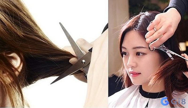 Mơ về chuyện cắt tóc cũng là giấc mơ thường thấy nằm mơ thấy cắt tóc danh so may? bạn biết chưa