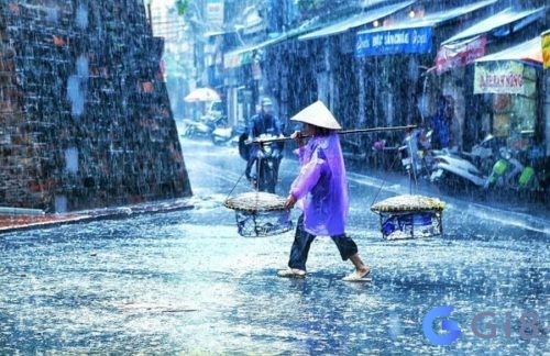 Mưa ướt sũng người đem điềm báo gì? Mơ thấy trời mưa ướt người