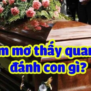 Mơ quan tài đánh con gì? Cùng Gi8 khám phá giấc mơ quan tài