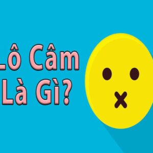 Lô đầu câm là gì? Cách bắt lô đầu câm đuôi câm cùng gi8