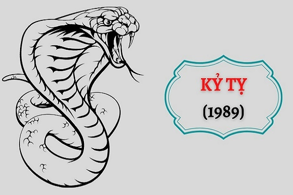 Mệnh mộc 1989 hợp số nào? Cùng gi8 tìm hiểu chi tiết