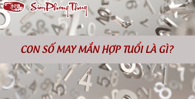 Số đẹp theo tuổi: Theo chân Gi88 tìm hiểu ý nghĩa các con số