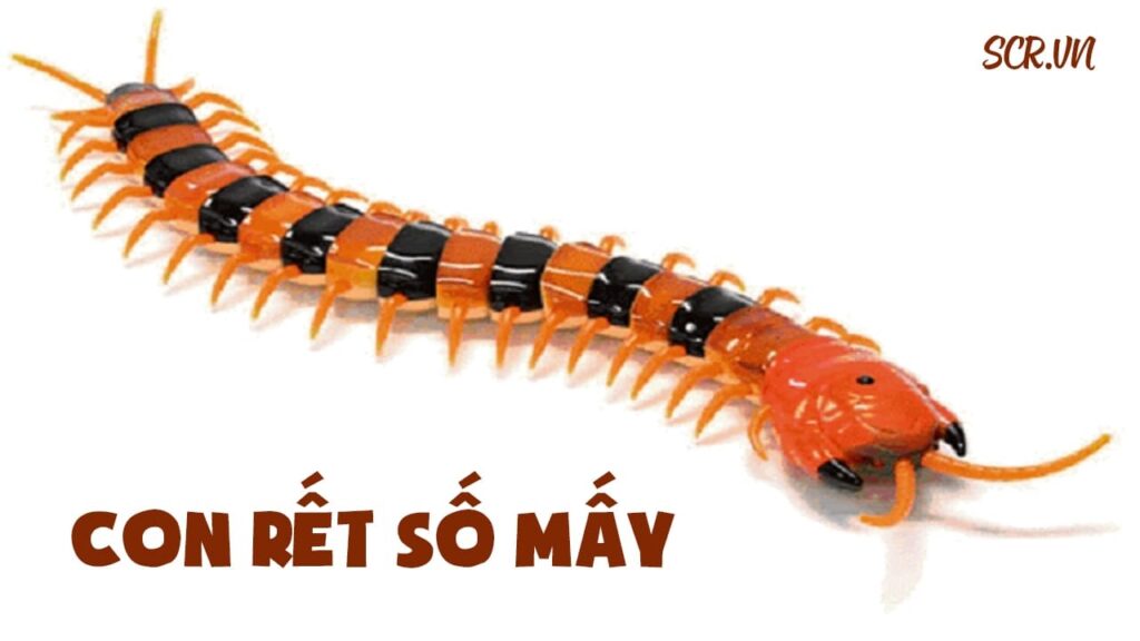 Con rết đánh số mấy: Gi88 giải đáp những giấc mơ về con rết