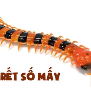 Con rết đánh số mấy: Gi88 giải đáp những giấc mơ về con rết