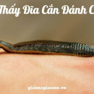 Con đĩa số mấy? Mộng thấy rất nhiều đỉa thì ta đánh: 52 – 18