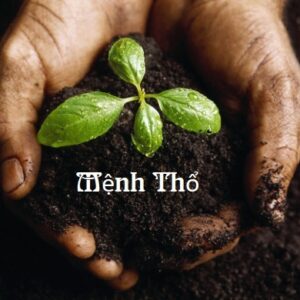 Mệnh thổ sinh năm bao nhiều? Gi8 giải mã năm sinh mệnh thổ