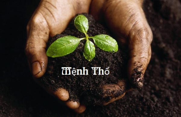 Mệnh thổ sinh năm bao nhiều? Gi8 giải mã năm sinh mệnh thổ