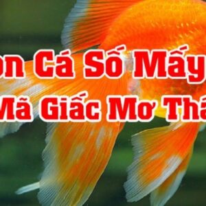 Con cá số đề là số mấy? Mộng thấy cá thì ta đánh 56
