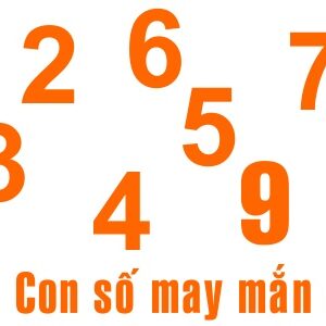 Số hợp với tuổi là gì? Cùng gi8 giải mã những con số