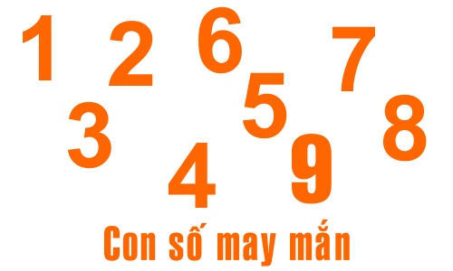 Số hợp với tuổi là gì? Cùng gi8 giải mã những con số