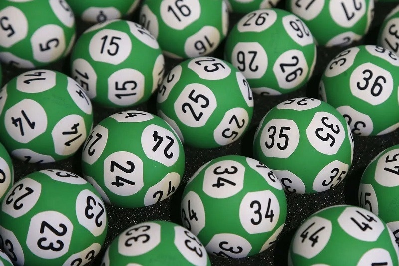 Dàn đề nuôi 2 ngày: Giới thiệu 3 cách bắt hiệu quả nhất