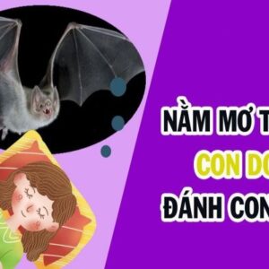 Con dơi là con gì, đánh số mấy? Cùng Gi8 khám phá giấc mơ