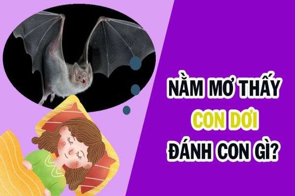 Con dơi là con gì, đánh số mấy? Cùng Gi8 khám phá giấc mơ