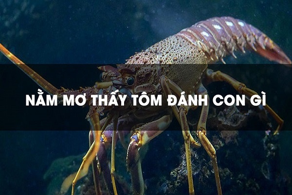 Con tôm trong số đề là số mấy? Cảnh báo điều gì? | Gi88.org