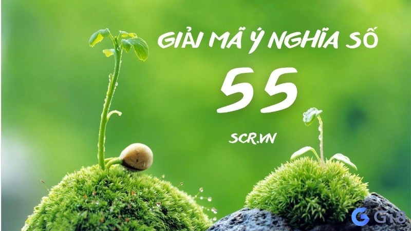 Tổng quan về số 55 Tổng quan về số 55