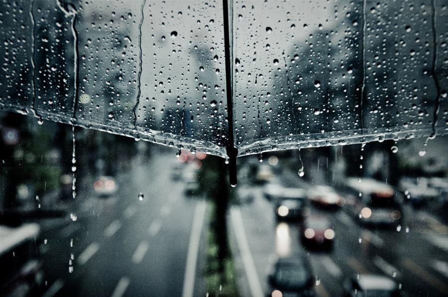 Trời mưa đánh con gì? Cùng gi8 giãi mã giấc mơ thấy mưa