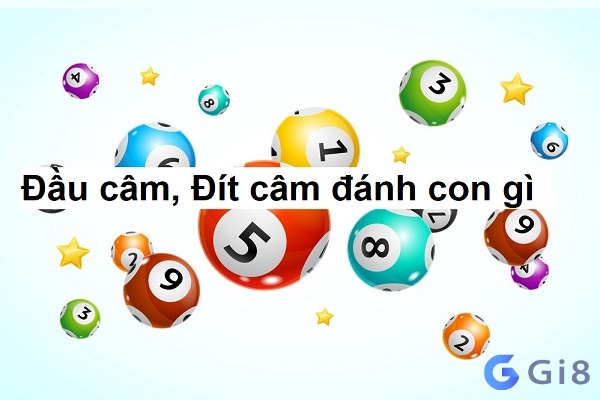 Hiểu rõ về cách đánh lô câm đầu đuôi Hiểu rõ về cách đánh lô câm đầu đuôi