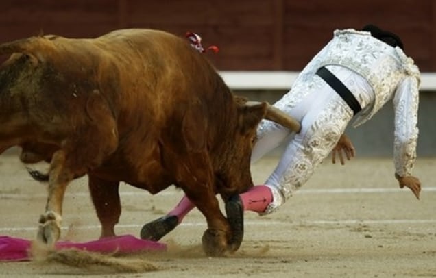 Bị bò húc đánh con gì? Giải mã con số chuẩn xác cùng gi8