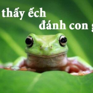 Con ech so may, gi8 dự đoán con số chính xác nhất