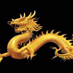 Con rồng là số mấy? Cùng gi8 giải mã chiêm bao thấy rồng