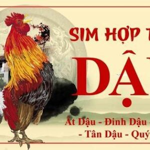 Con số may mắn của tuổi dậu là số mấy? Gi8 chỉ cách chọn sim