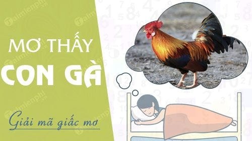 Mơ thấy con gà đánh con gì? Mơ thấy gà quất ngay 12