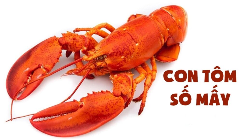 Con tôm là số mấy? Mơ thấy tôm luộc thì ta đánh 27 – 93