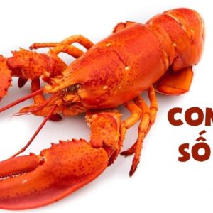 Con tôm là số mấy? Mơ thấy tôm luộc thì ta đánh 27 – 93