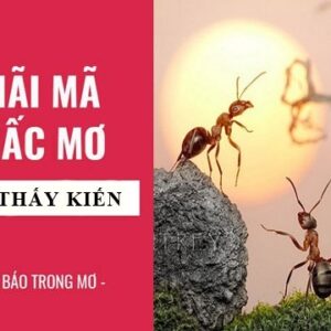 Mơ thấy đàn kiến đánh con gì? Thấy đàn kiến đánh: 29, 30, 73