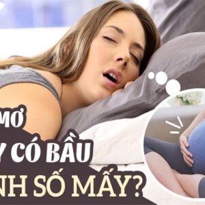Mơ thấy mình có bầu đánh con gì? Gi8 giải mã các con số đề