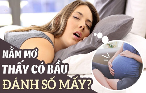 Mơ thấy mình có bầu đánh con gì? Gi8 giải mã các con số đề