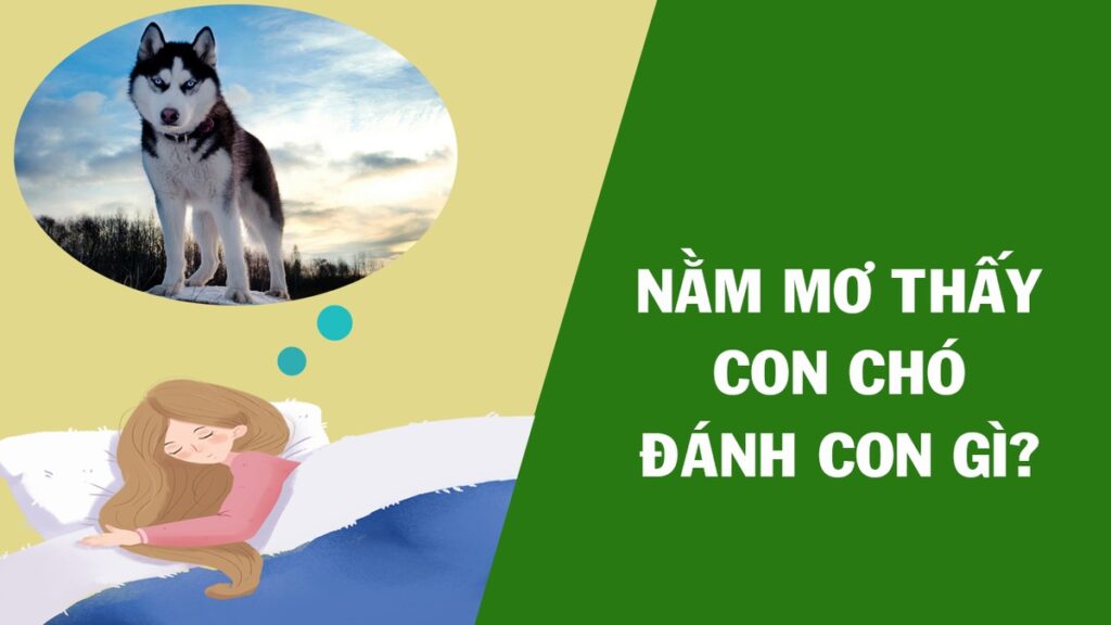 Số đề con chó số mấy? Gi8 giải mã giấc mơ về chó trong lô đề