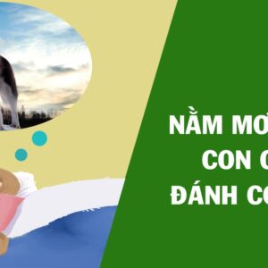 Số đề con chó số mấy? Gi8 giải mã giấc mơ về chó trong lô đề