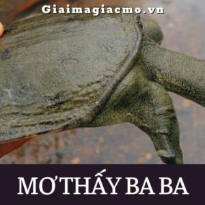 Mơ thấy con ba ba đánh con gì? Mơ thấy bắt ba ba đánh 12 - 21