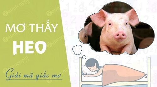 Nằm mơ thấy heo đánh số gì? Triển ngay con 76 đổi đời