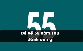 Đề về 55 đánh con gì? Tần suất xuất hiện những con số