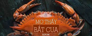 Mơ thấy bắt cua đánh con gì? Con số may mắn cùng Gi88