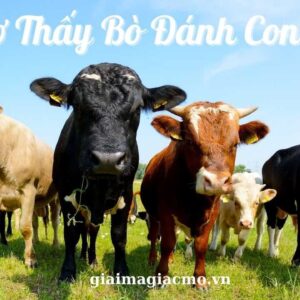 Nằm mơ thấy con bò đánh con gì? Thấy bò đực đánh số: 54