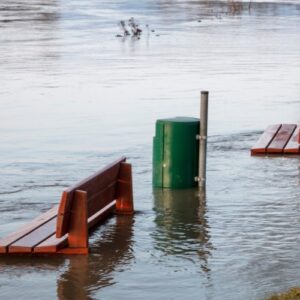 Mơ thấy nước lũ danh de con gi? Tìm hiểu chi tiết cùng Gi8