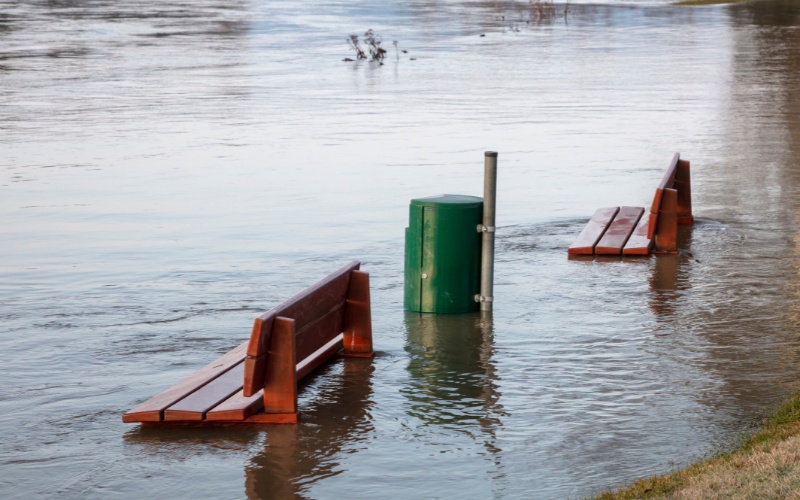 Mơ thấy nước lũ danh de con gi? Tìm hiểu chi tiết cùng Gi8