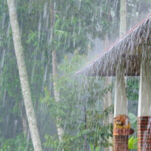 Mơ thấy mưa lớn ý nghĩa gì? Gi8 bật mí số để đánh đề chuẩn